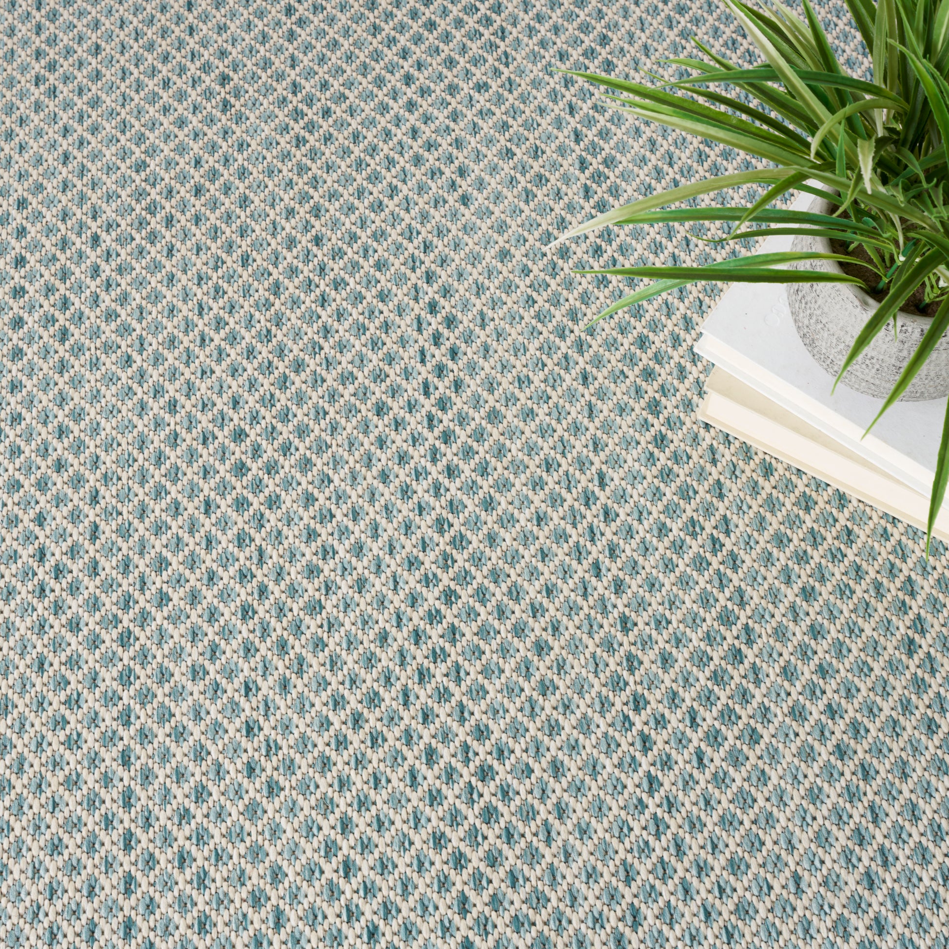 Gray overlay covers most of frame; visible edge shows a blue-cream woven rug and green plants.