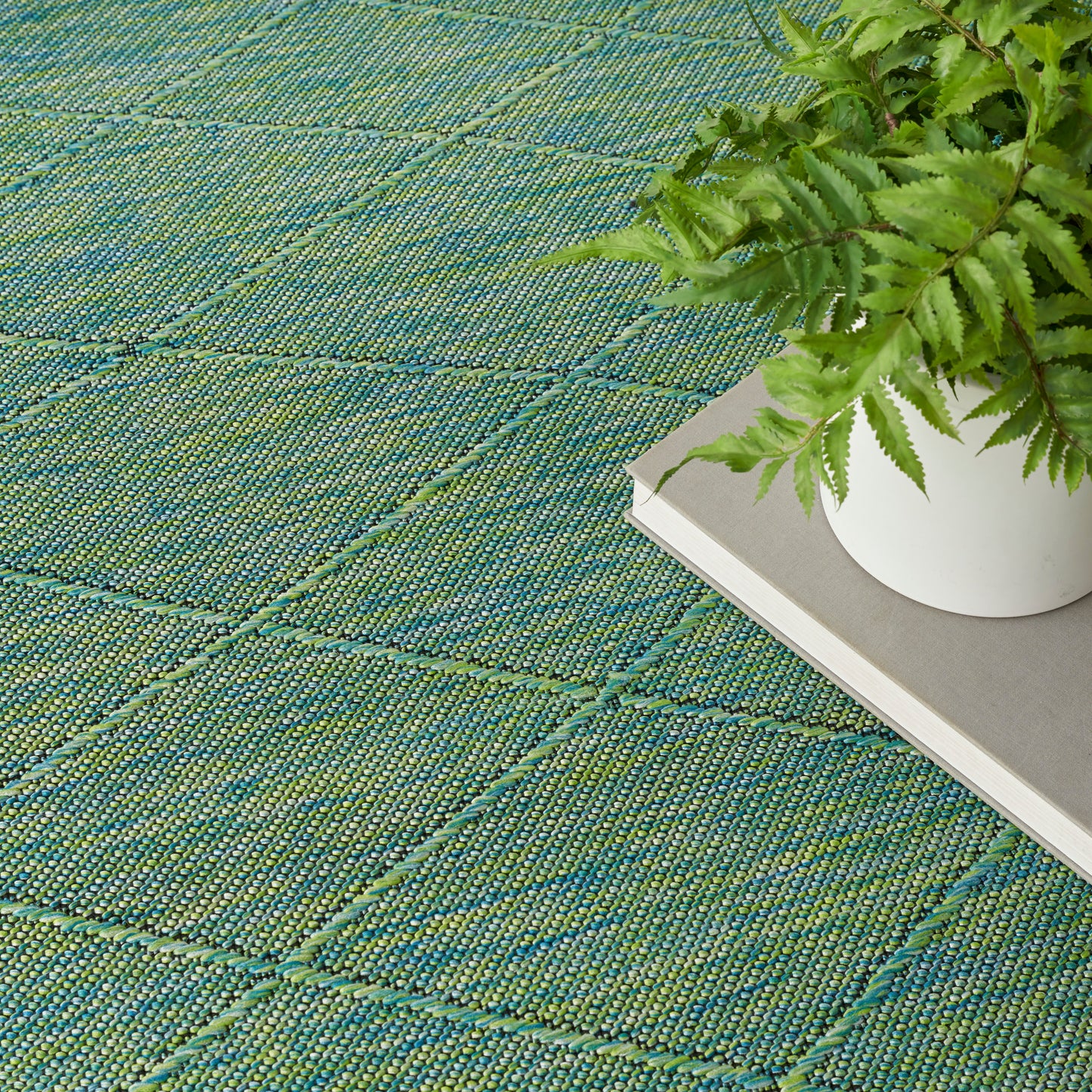 Green woven rug with square-grid pattern; white planter with a fern sits on a gray hardcover book.