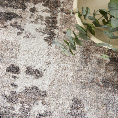 Beige textured rug with brown and gray splotches; eucalyptus plant in a beige pot overlaps the rug edge.