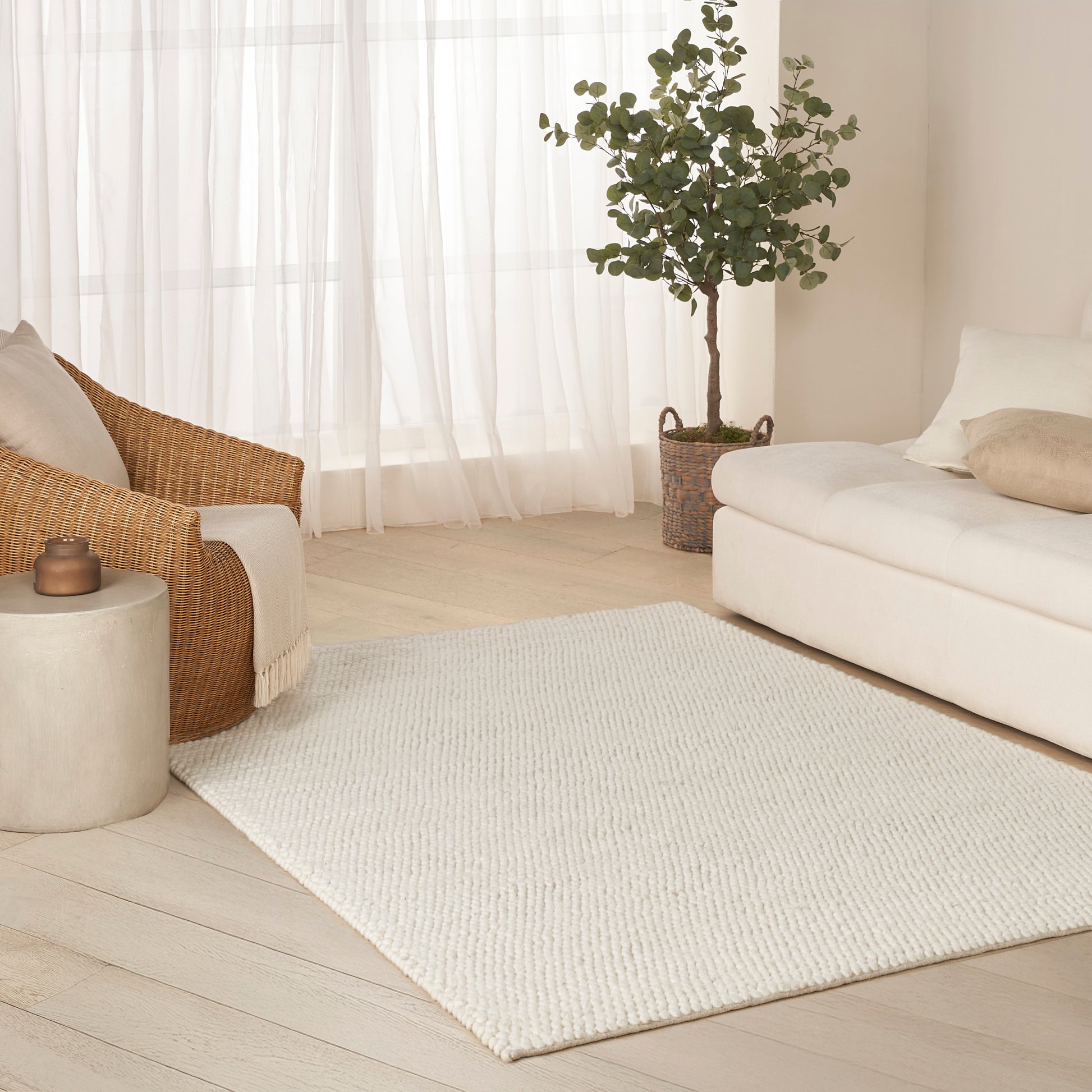 Bright neutral living room with cream sofa, woven rattan chair, tall plant, and textured cream area rug.
