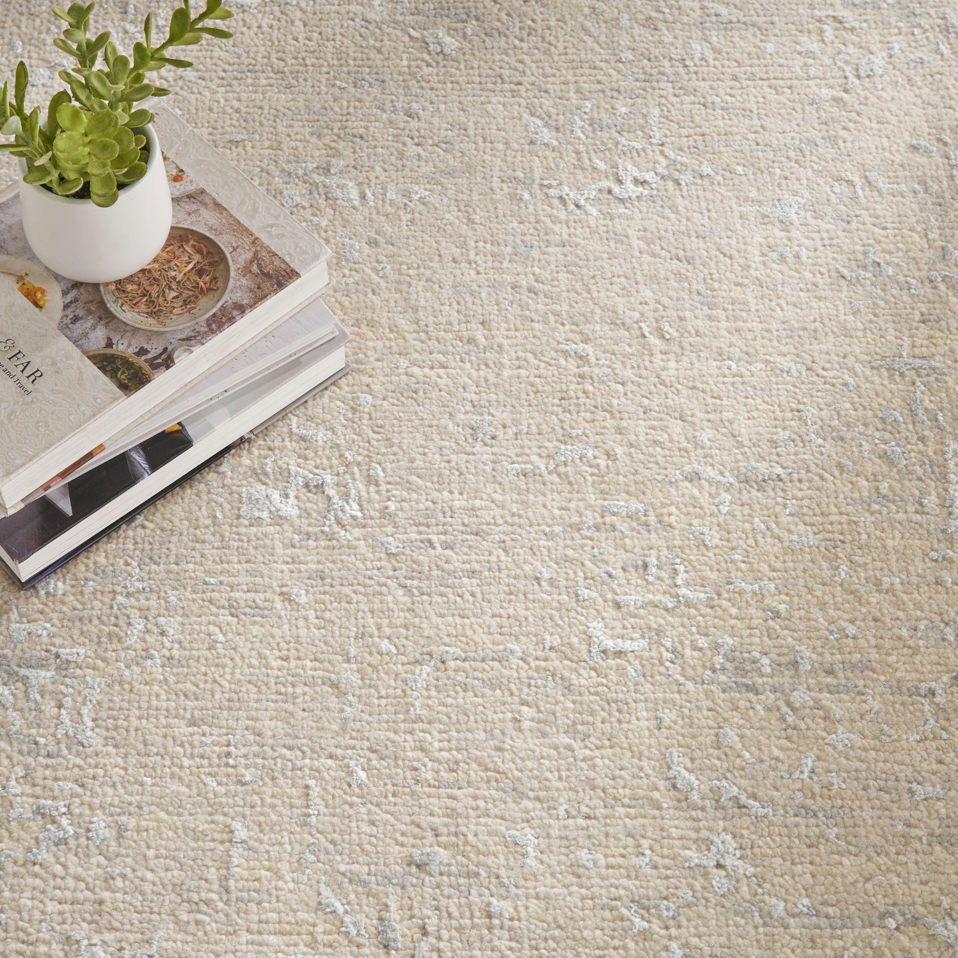 Beige textured rug with a small white ceramic pot holding a succulent atop a stack of magazines.