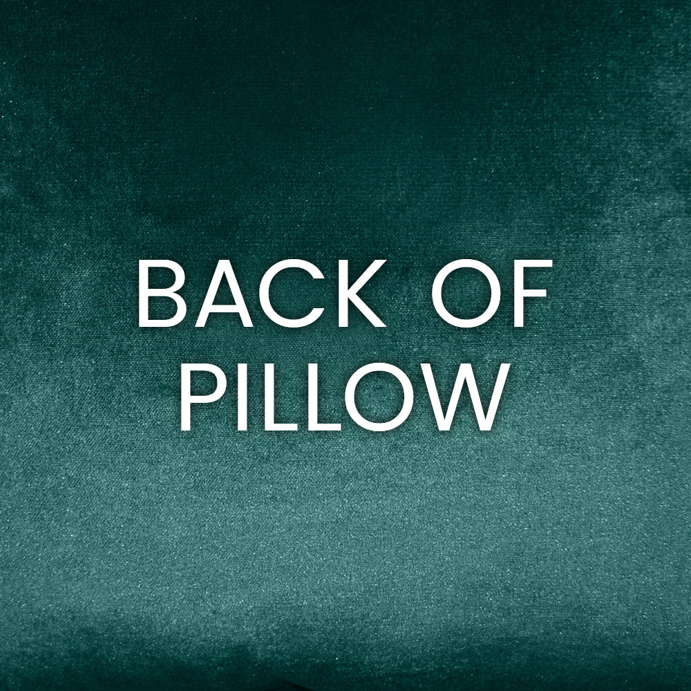 Teal textured backdrop with bold white BACK OF PILLOW text, indicating the pillow's reverse side.