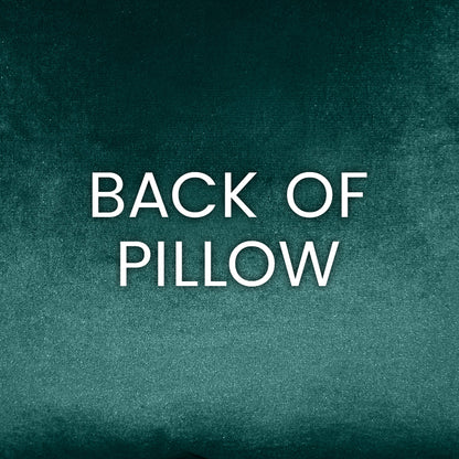 Teal textured backdrop with bold white BACK OF PILLOW text, indicating the pillow's reverse side.