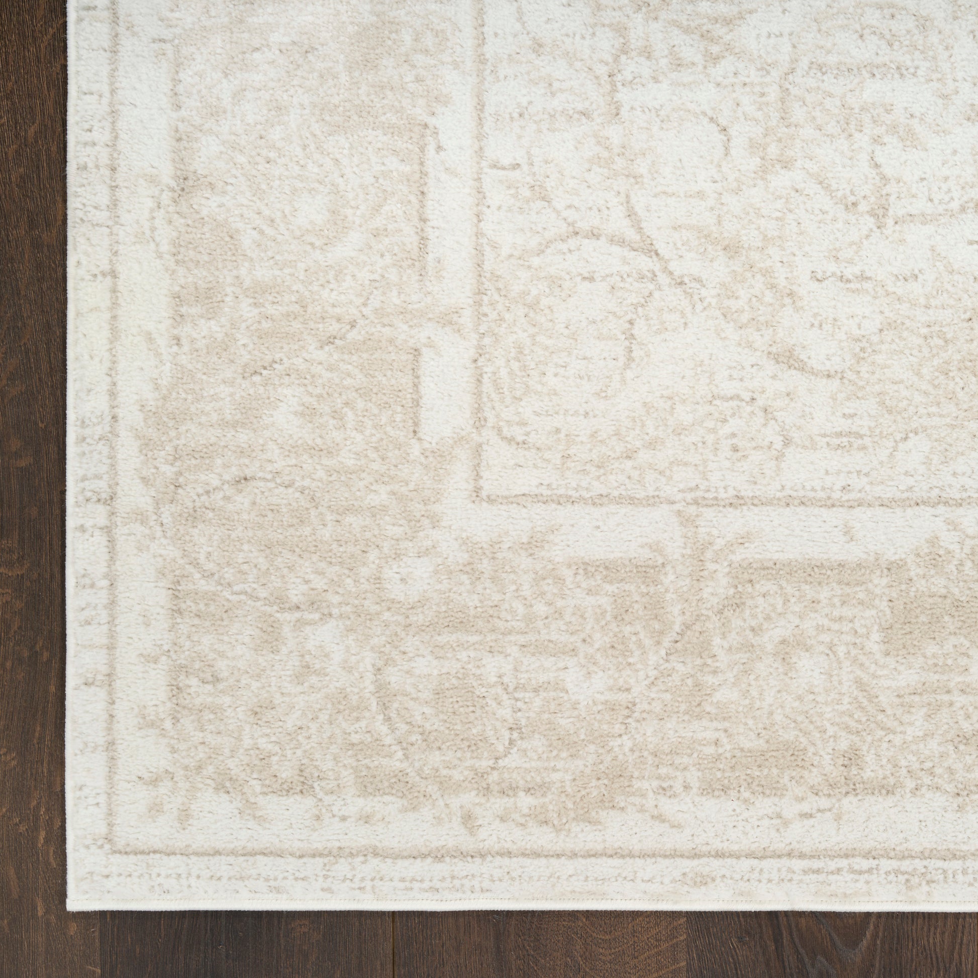 Cream-beige area rug with a subtle vintage pattern & border on a dark wood floor.
