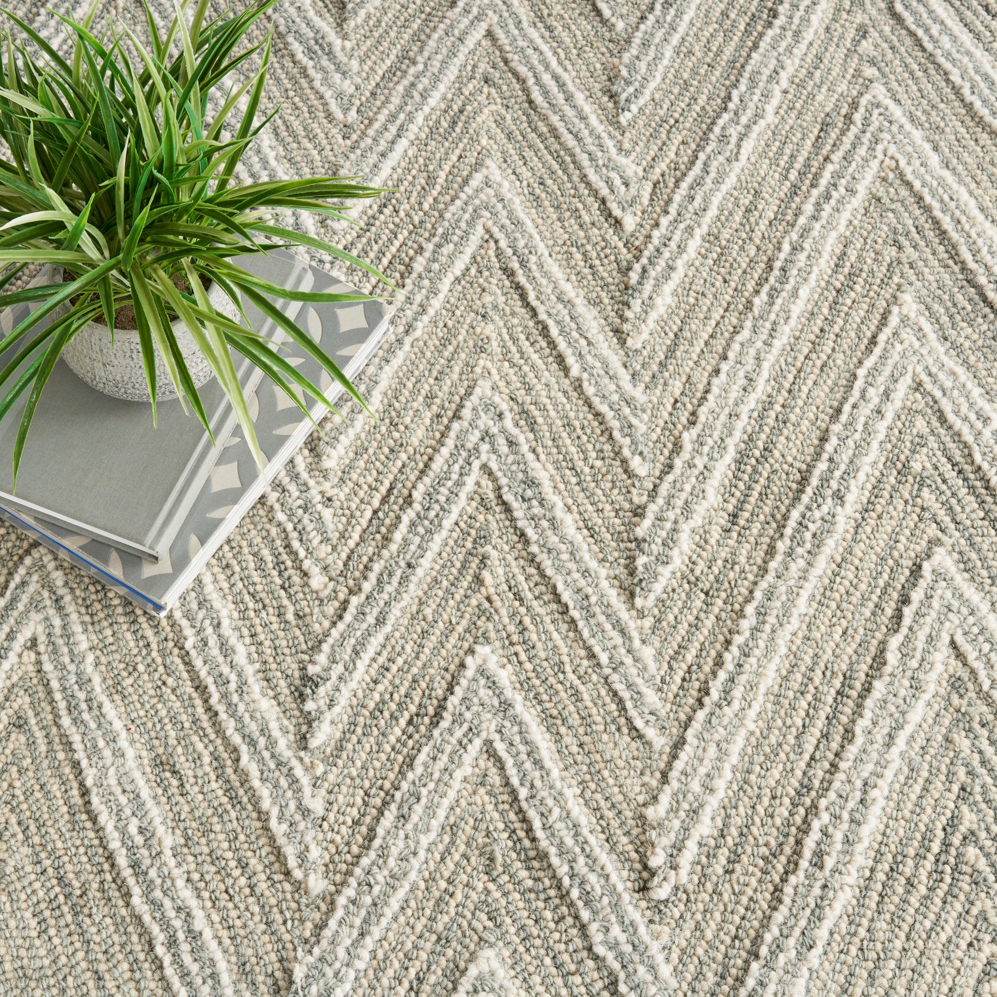 Beige chevron textured rug & potted spider plant atop stacked decor books