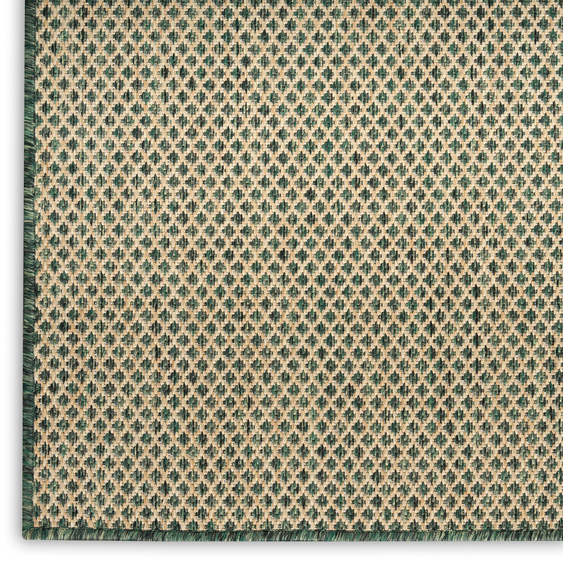 Beige woven rug with teal diamond lattice pattern and dark green left border; textured floor covering.