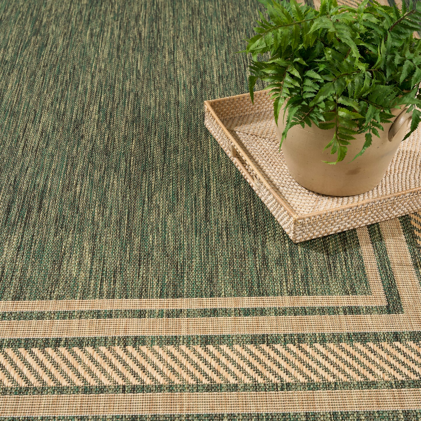 Green and beige woven rug with geometric border; potted fern on a beige wicker tray.