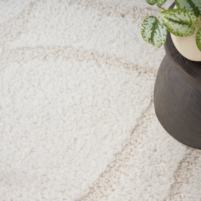 Cream shaggy rug with a dark brown planter and green variegated plant in the corner.