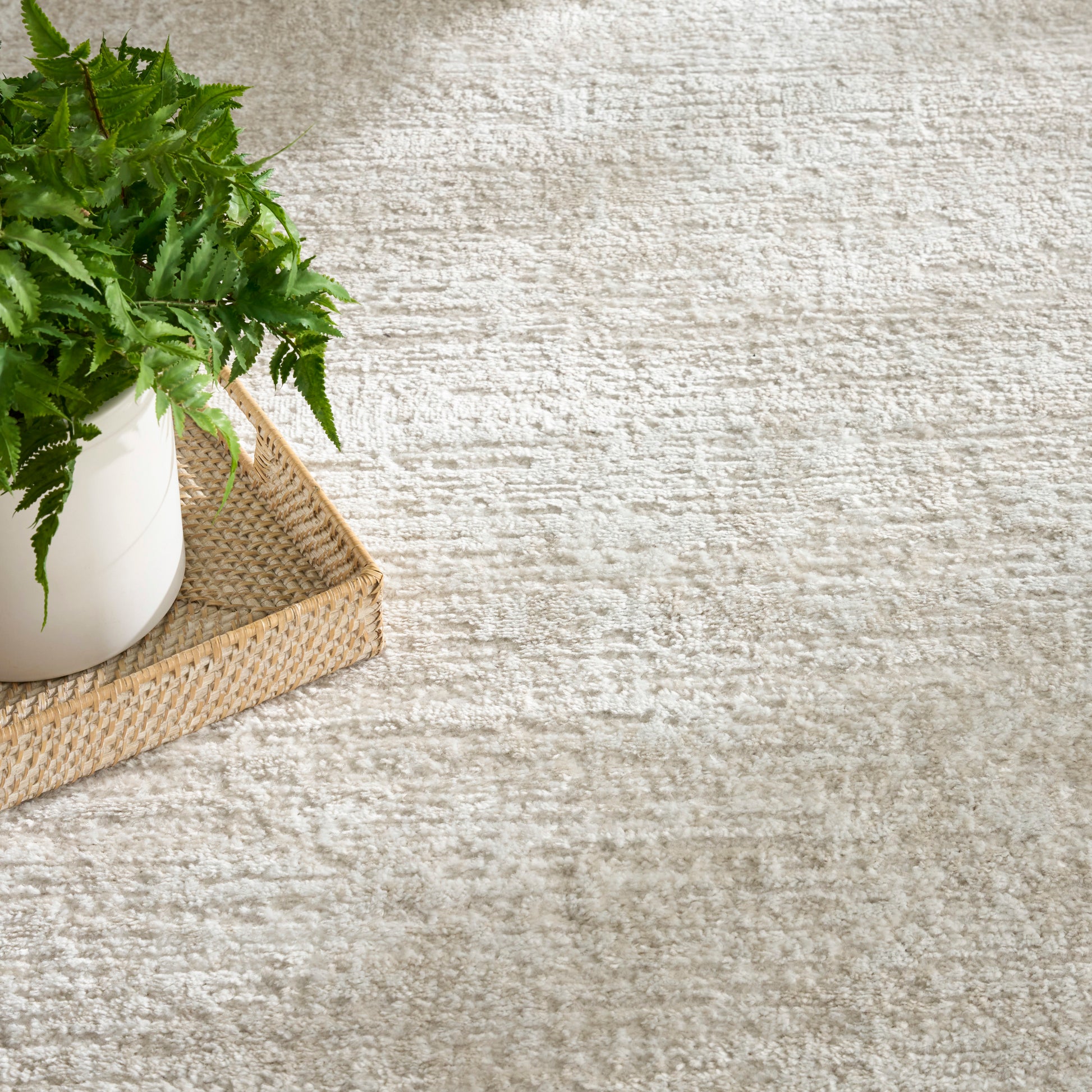 Beige textured rug with white ceramic pot & lush green fern on a woven straw tray.
