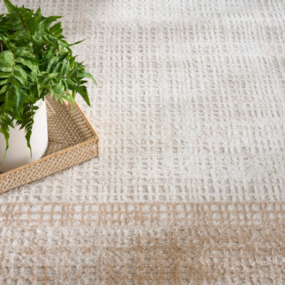 Green fern in a white pot on a woven rattan tray atop a beige textured rug.