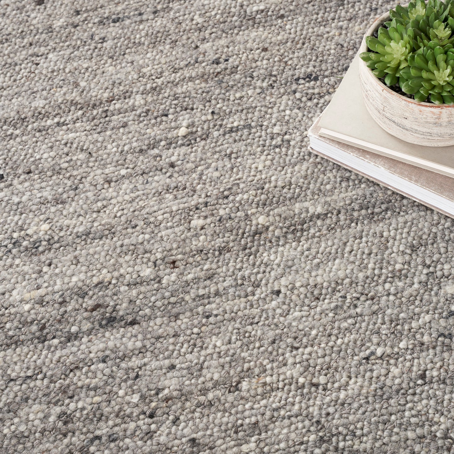 Close-up of a gray textured rug with a stack of books topped by a small green succulent in a white pot.