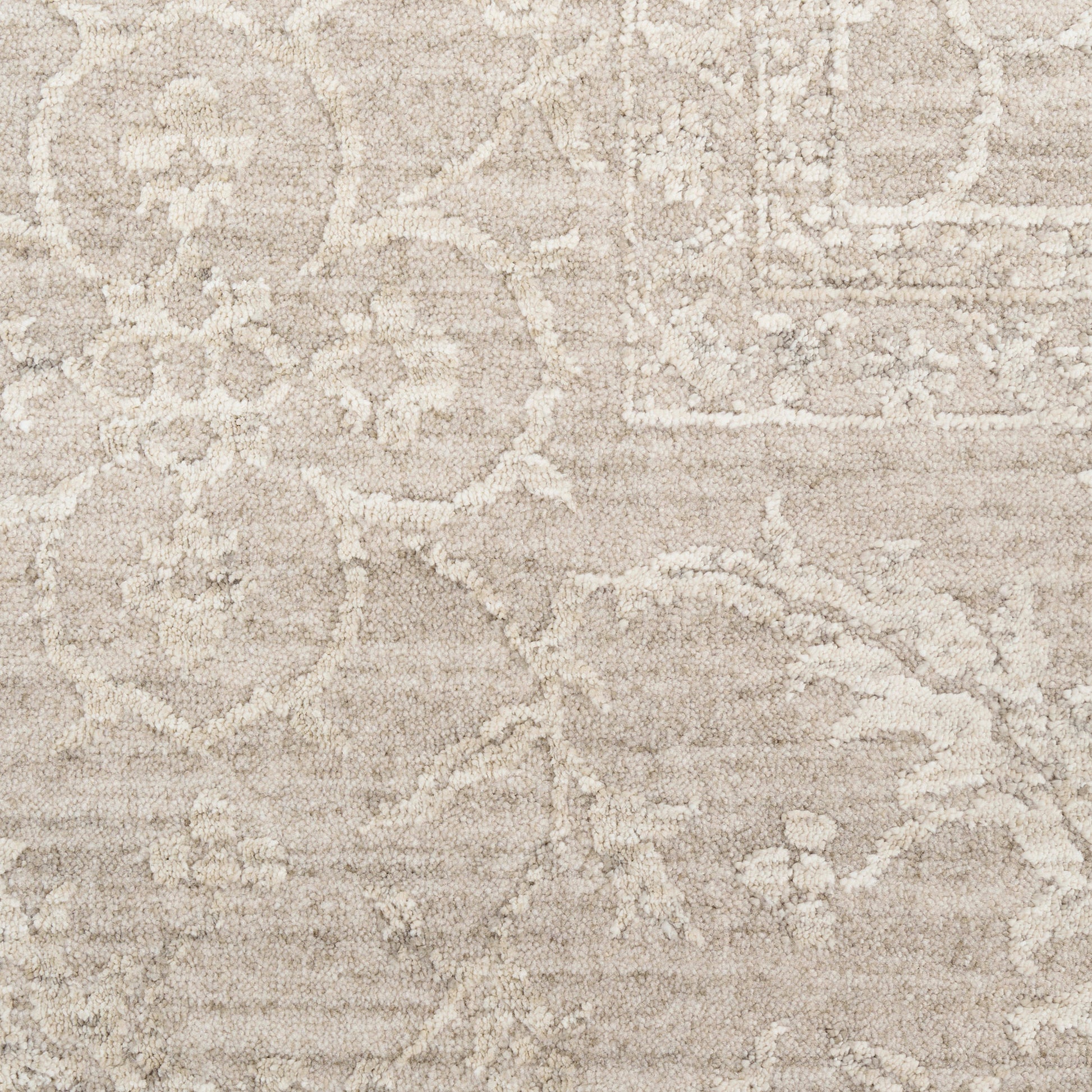 Beige traditional area rug with cream damask scroll pattern; plush, textured pile.
