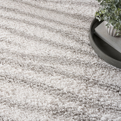 Light beige shag rug with fluffy pile; round dark tray holds a small potted plant and stacked books.