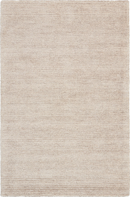 Beige woven rug with subtle tonal texture, low-pile; neutral rectangular decor for living spaces.