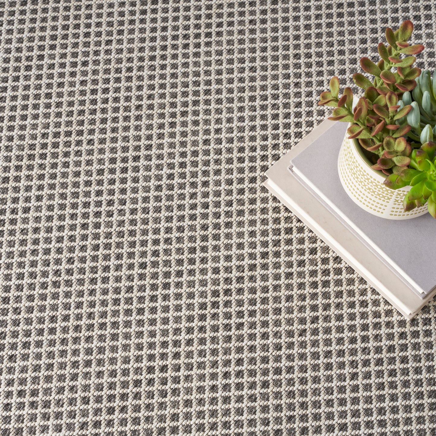 Gray checkered rug with a succulent in a white pot on a stack of books.