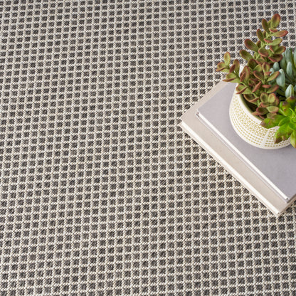 Gray checkered rug with a succulent in a white pot on a stack of books.