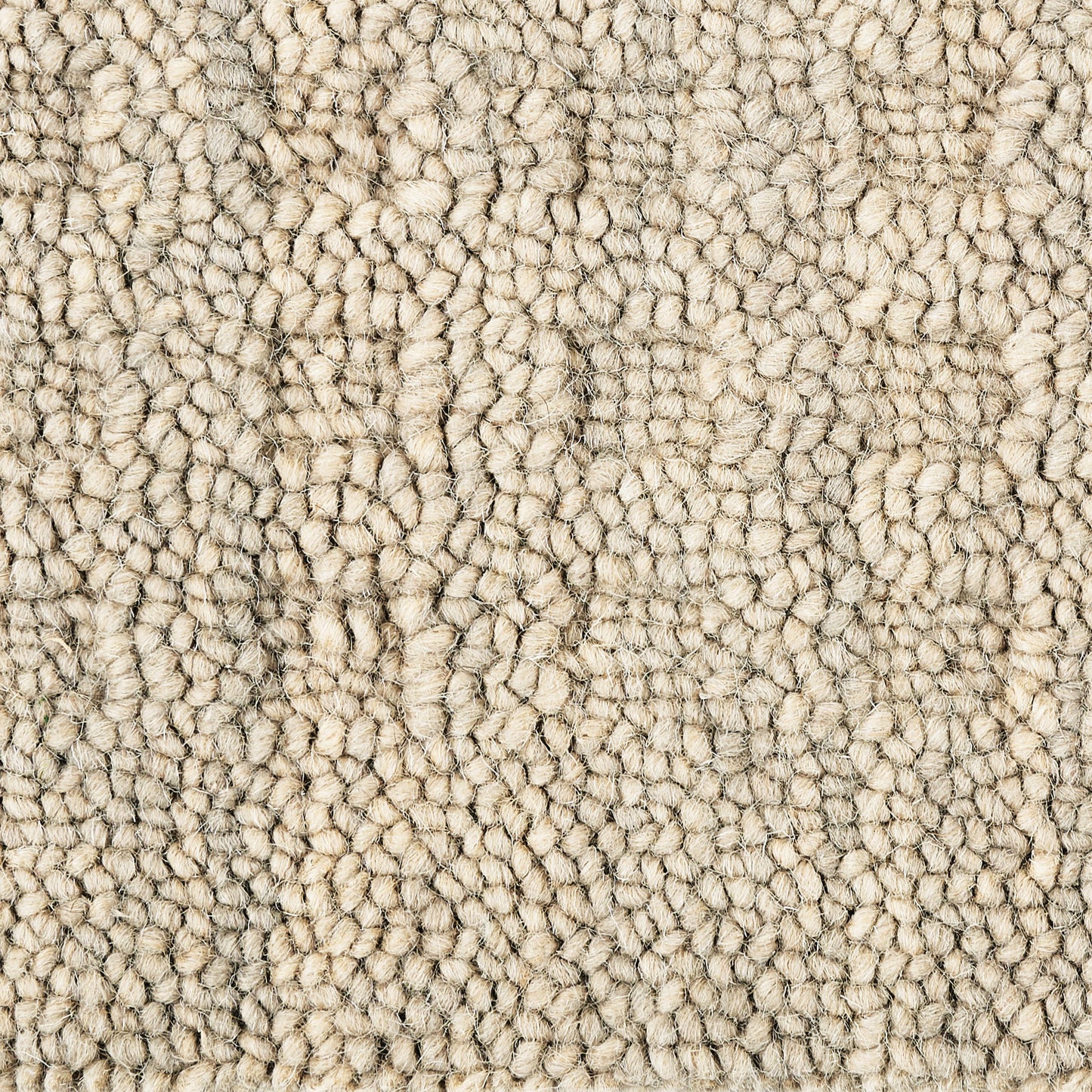 Close-up of a soft beige shag carpet with dense loop-pile texture and warm neutral tones.