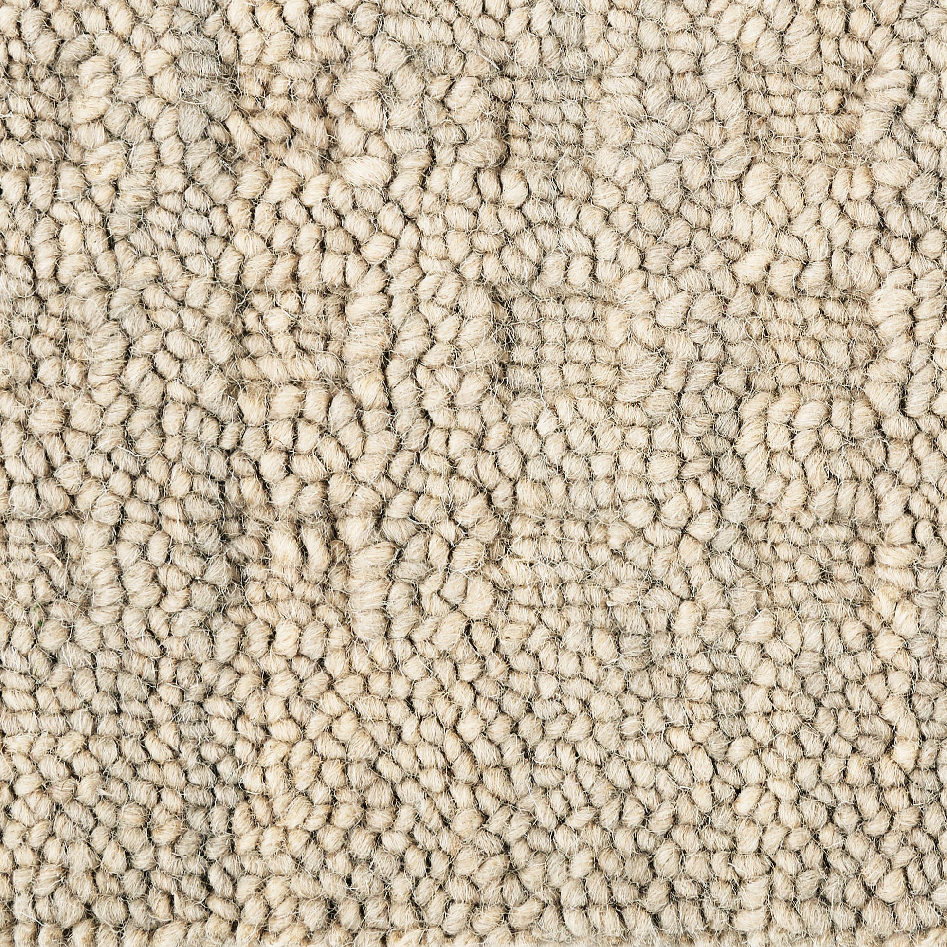 Close-up of a soft beige shag carpet with dense loop-pile texture and warm neutral tones.