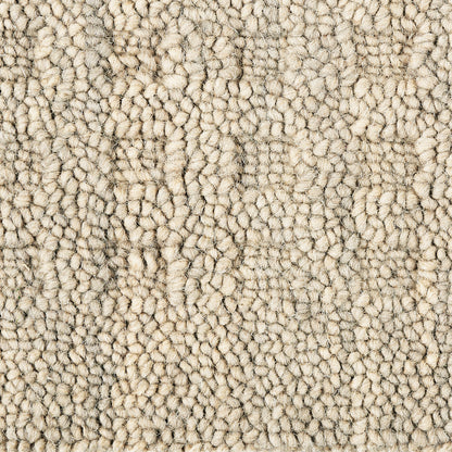 Close-up of a soft beige shag carpet with dense loop-pile texture and warm neutral tones.