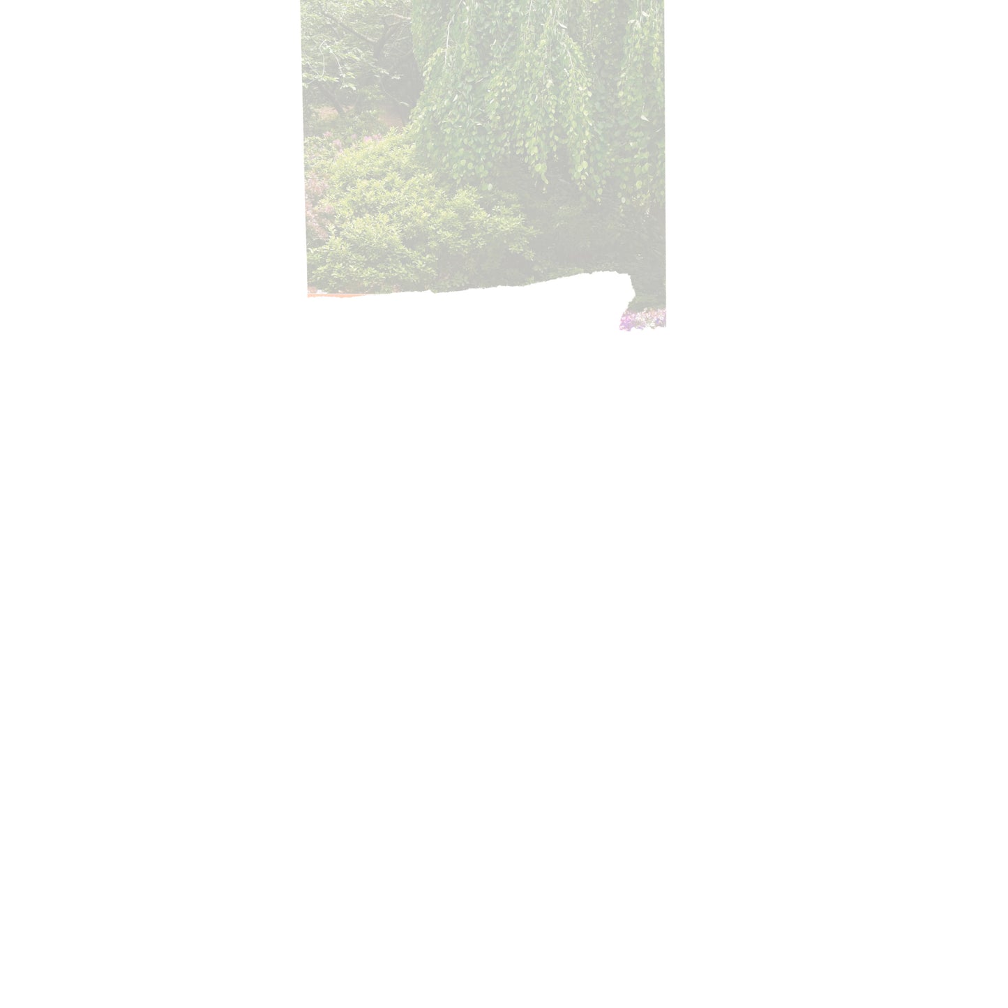 Top-centered crop of a lush green forest scene; wall art poster on white background.