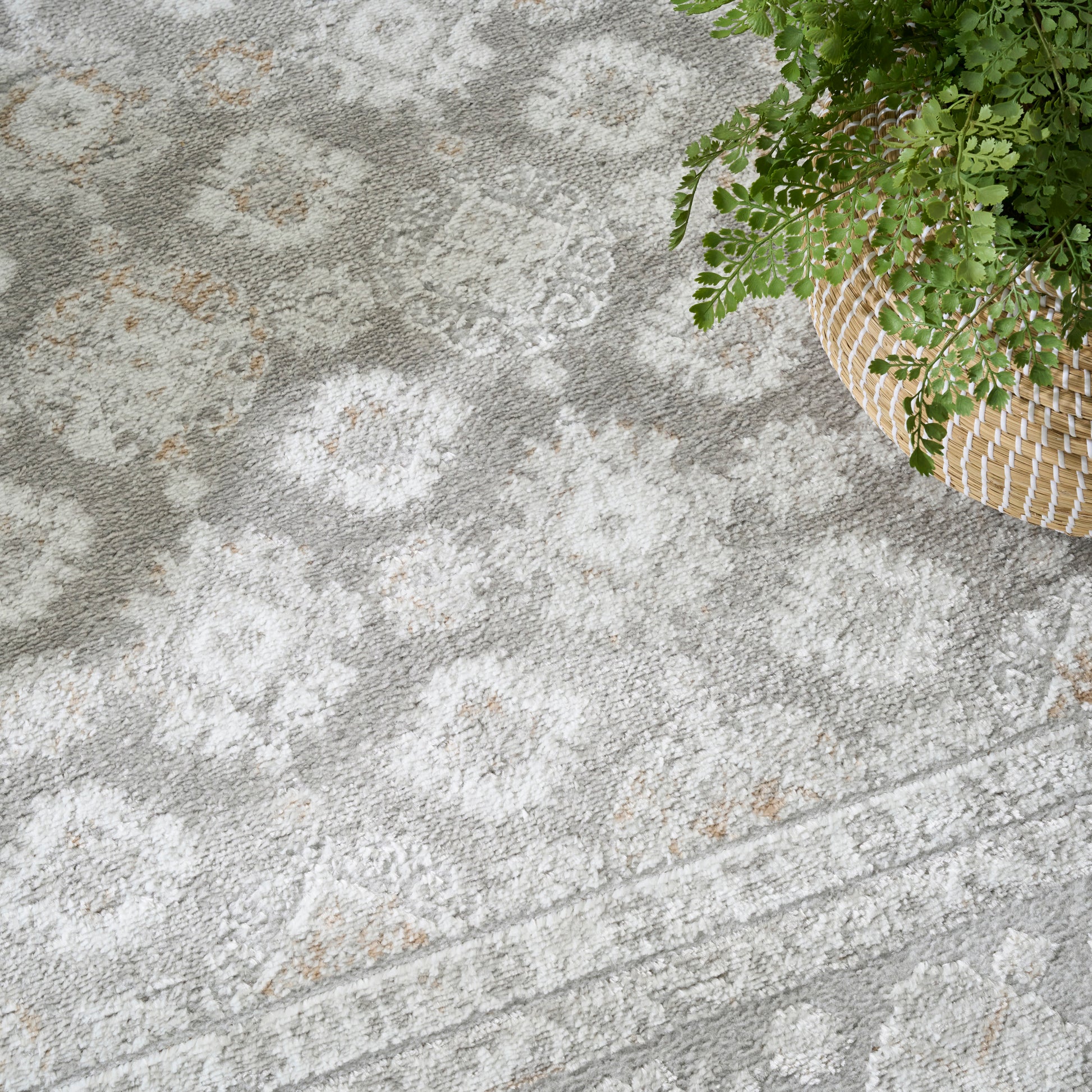 Gray plush area rug with white damask floral pattern and tan specks; basket with green plant in corner.