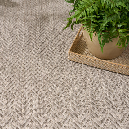 Beige chevron-pattern rug with a green potted fern on a woven tray.