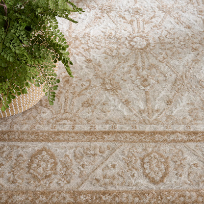 Beige ornate-pattern area rug with sunburst medallions; potted fern in a woven basket sits nearby.