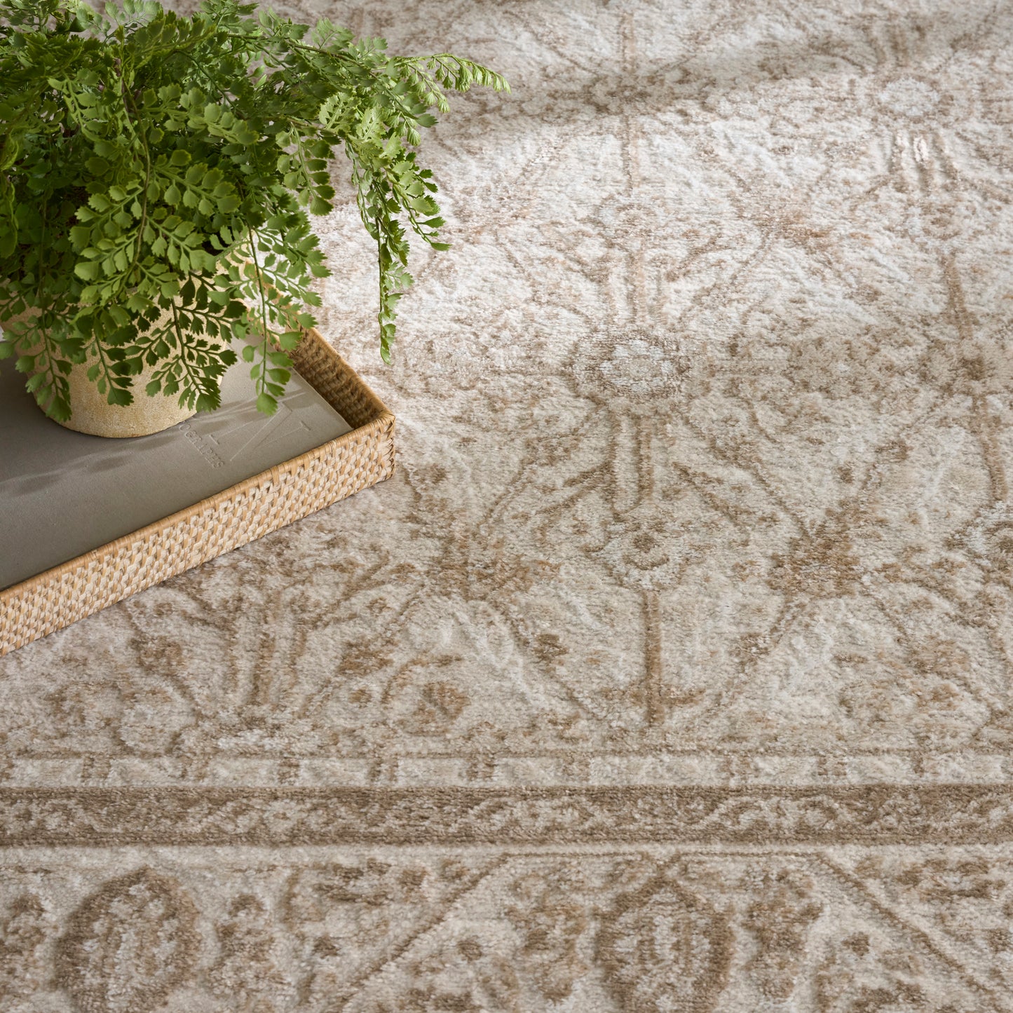 Beige oriental-style area rug with taupe floral medallions and an ornate border; neutral, classic decor.