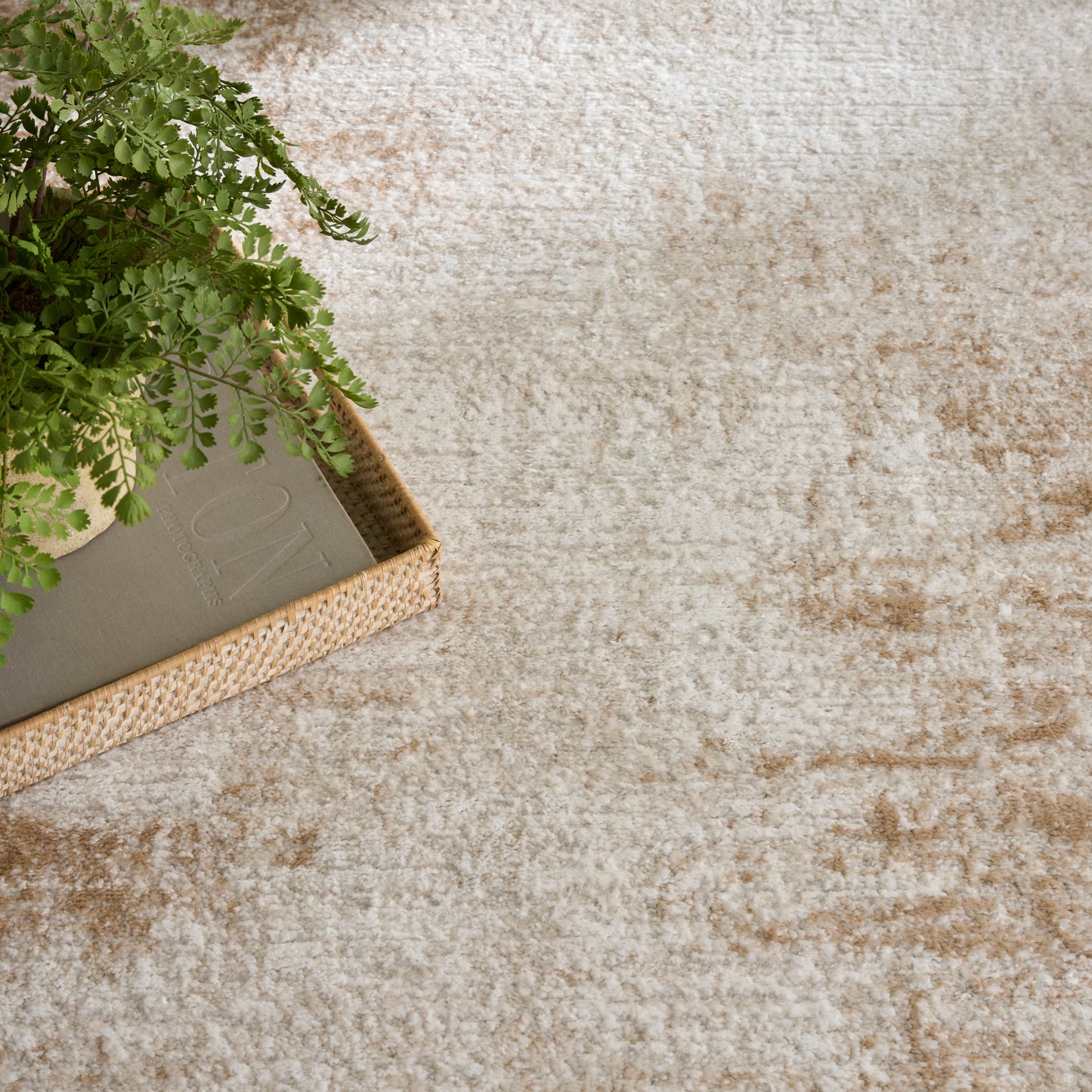 Green fern in a beige ceramic pot inside a natural woven basket on a light beige textured rug with a gray book.