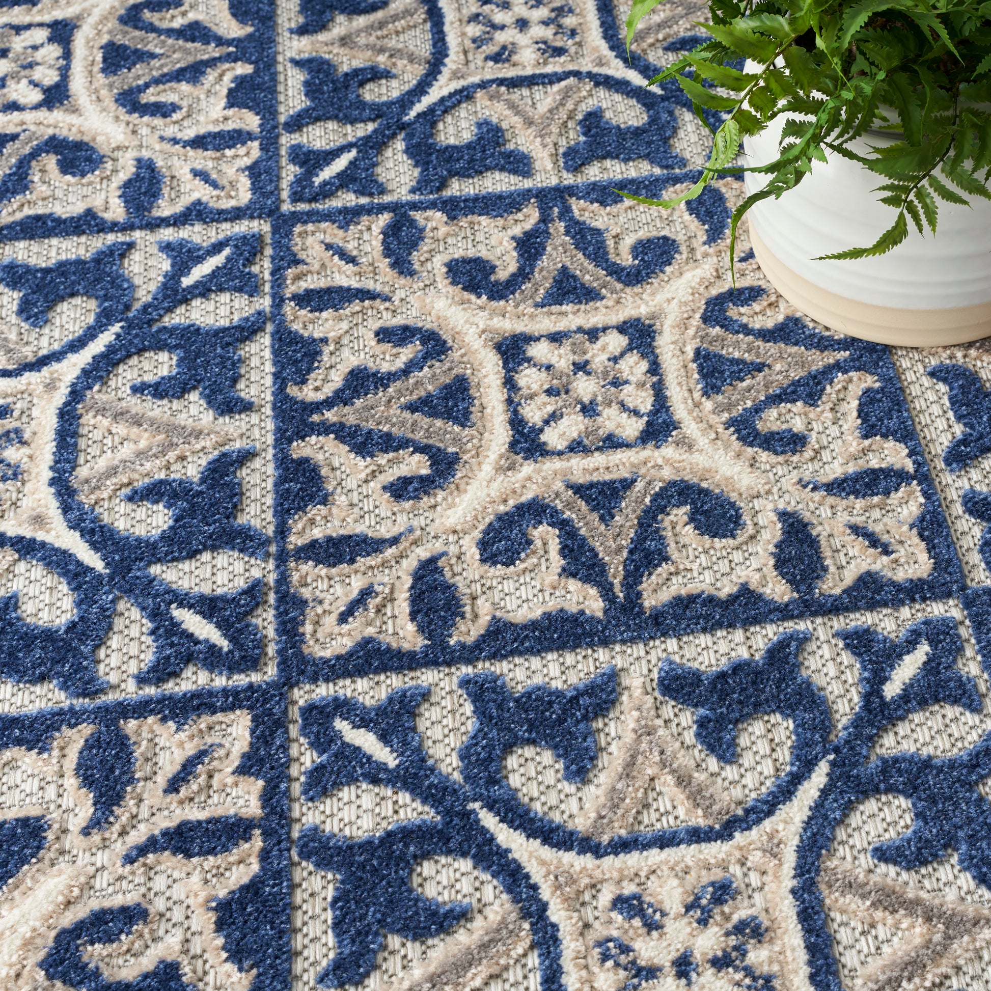 Blue and beige woven area rug with scrolling floral motifs; potted fern sits at the edge.