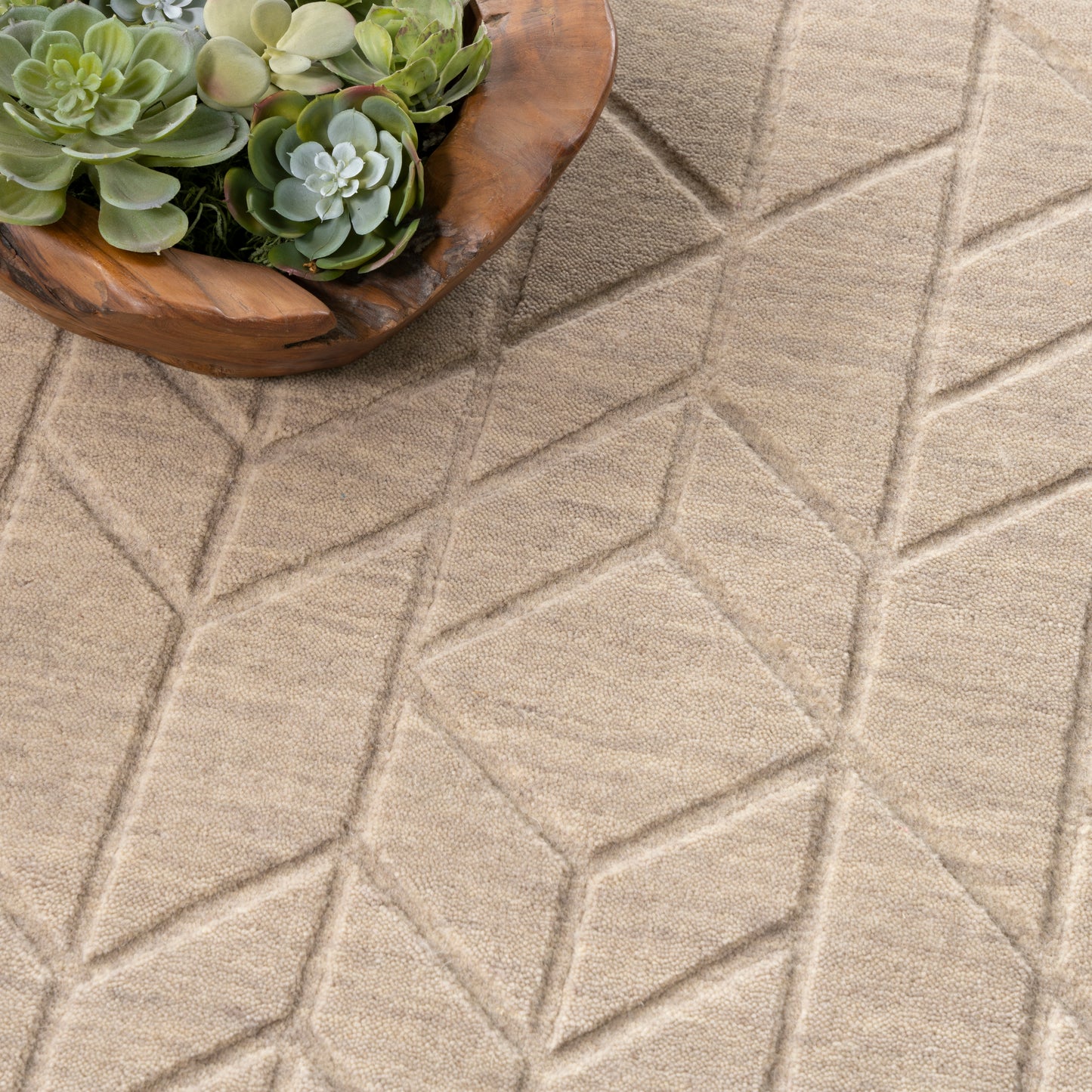 Beige geometric rug with diamond pattern; wooden bowl of green succulents.