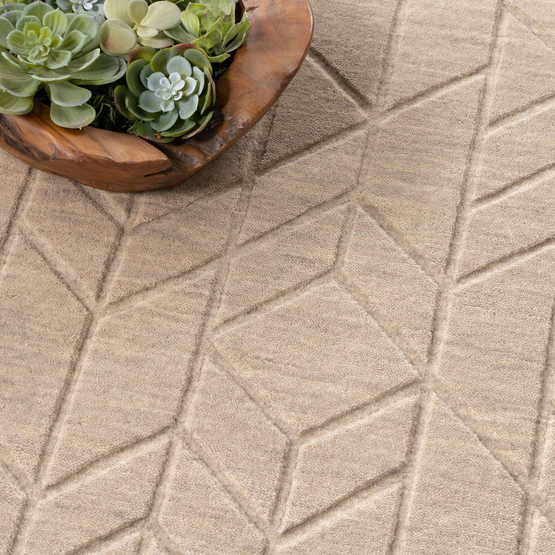 Beige geometric rug with diamond pattern; wooden bowl of green succulents.