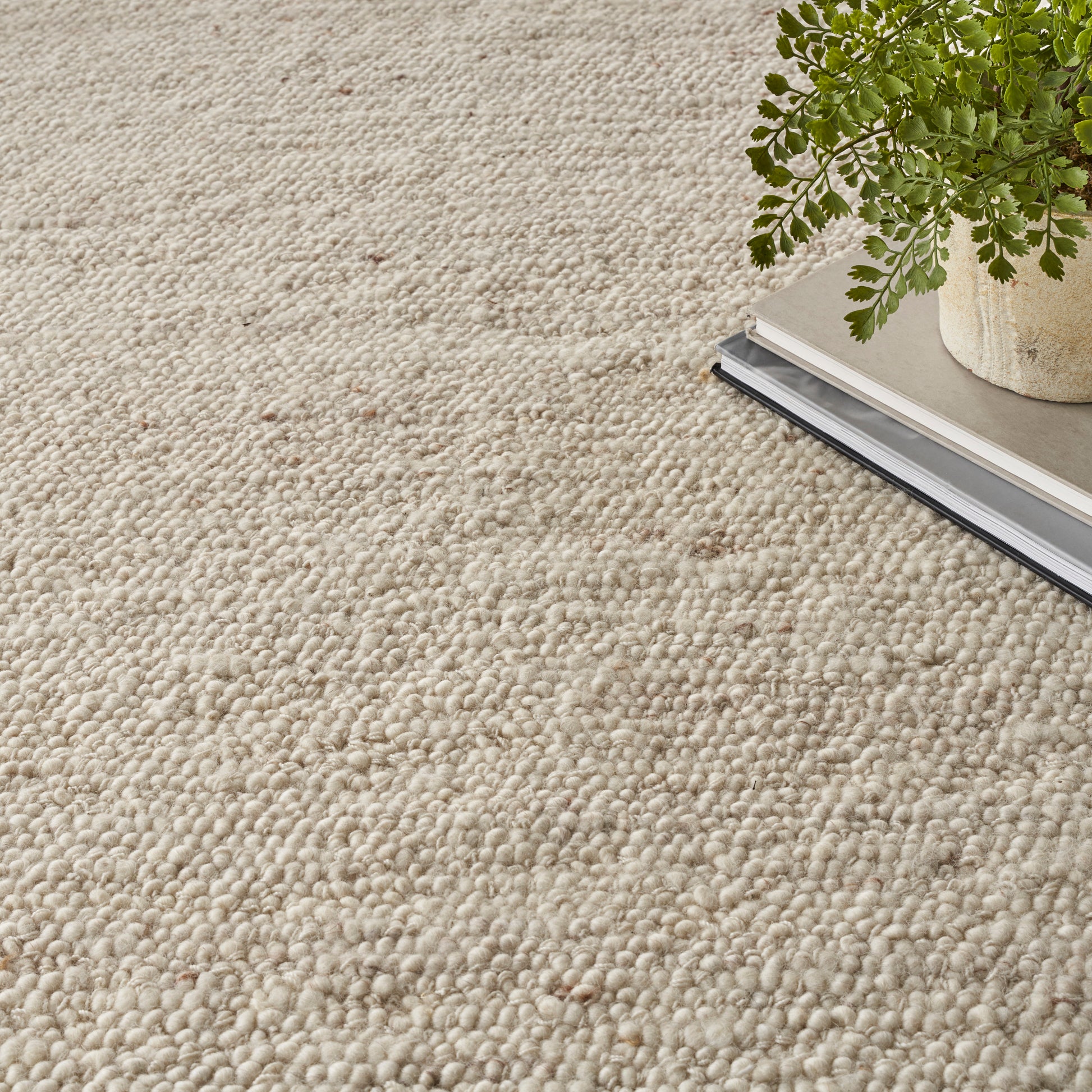 Beige textured loop-pile rug with a green potted plant atop a stack of magazines.