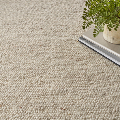 Beige textured loop-pile rug with a green potted plant atop a stack of magazines.