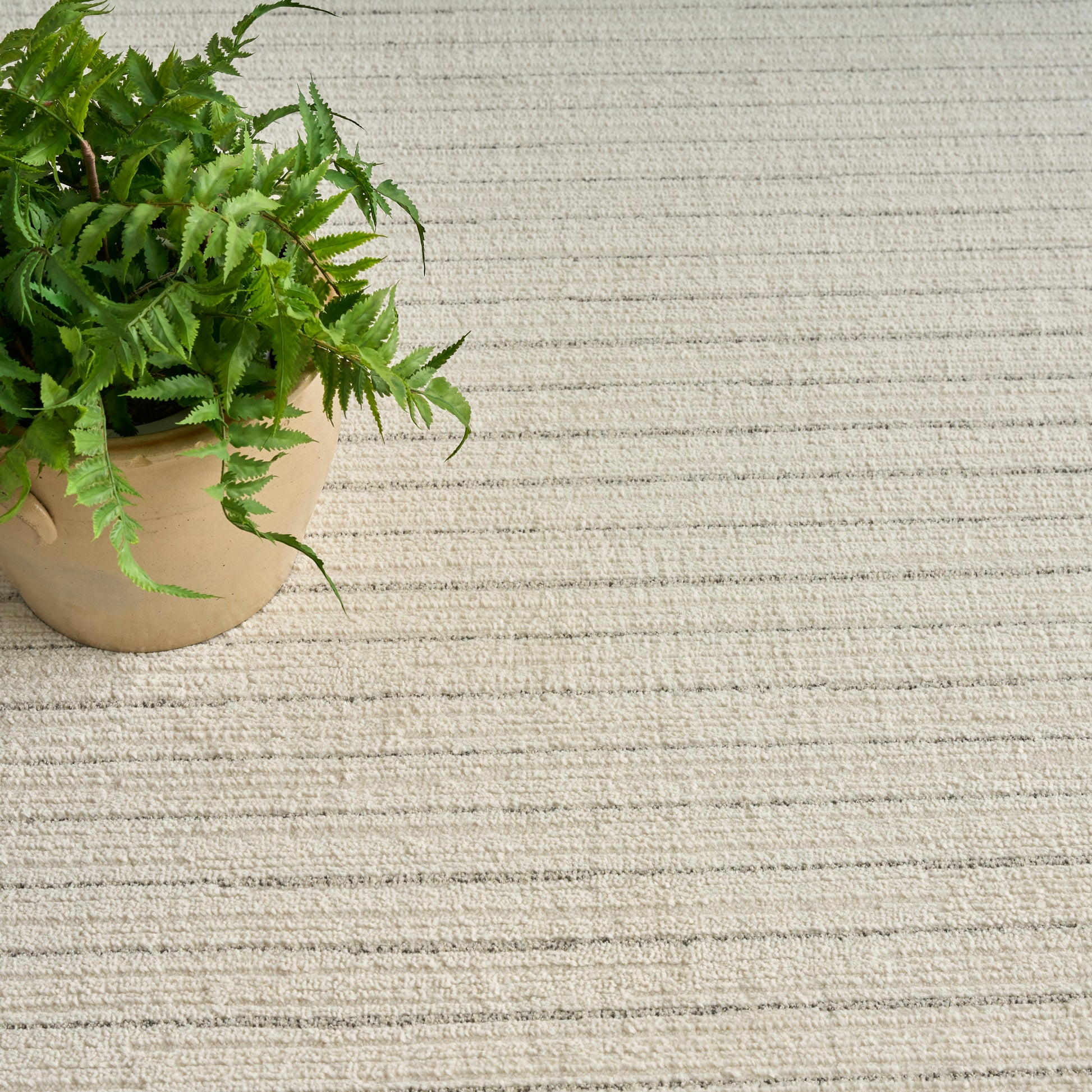 Green fern in a tan ceramic pot on a light beige textured rug with subtle linear stripes.