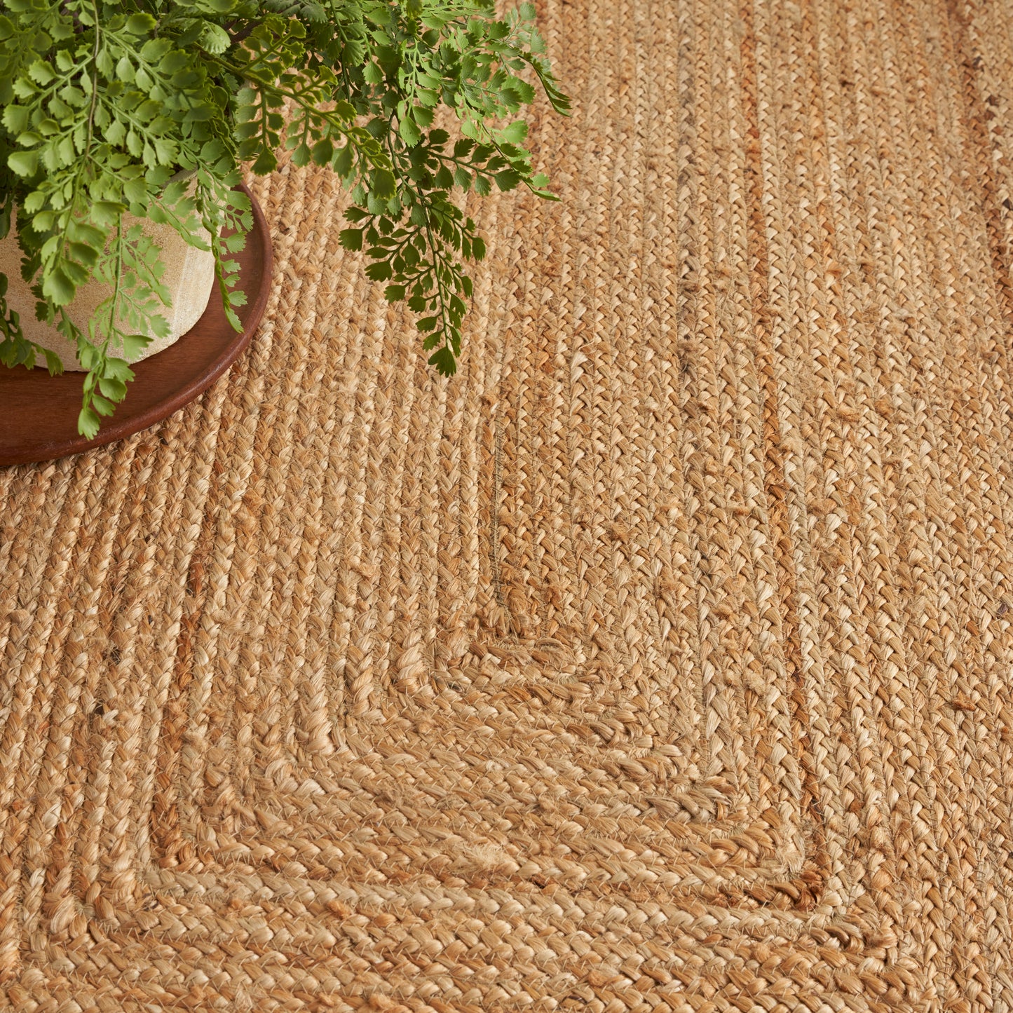 Natural beige braided jute rug with concentric square weave, shown with a green leafy plant in a brown pot.