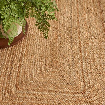 Natural beige braided jute rug with concentric square weave, shown with a green leafy plant in a brown pot.