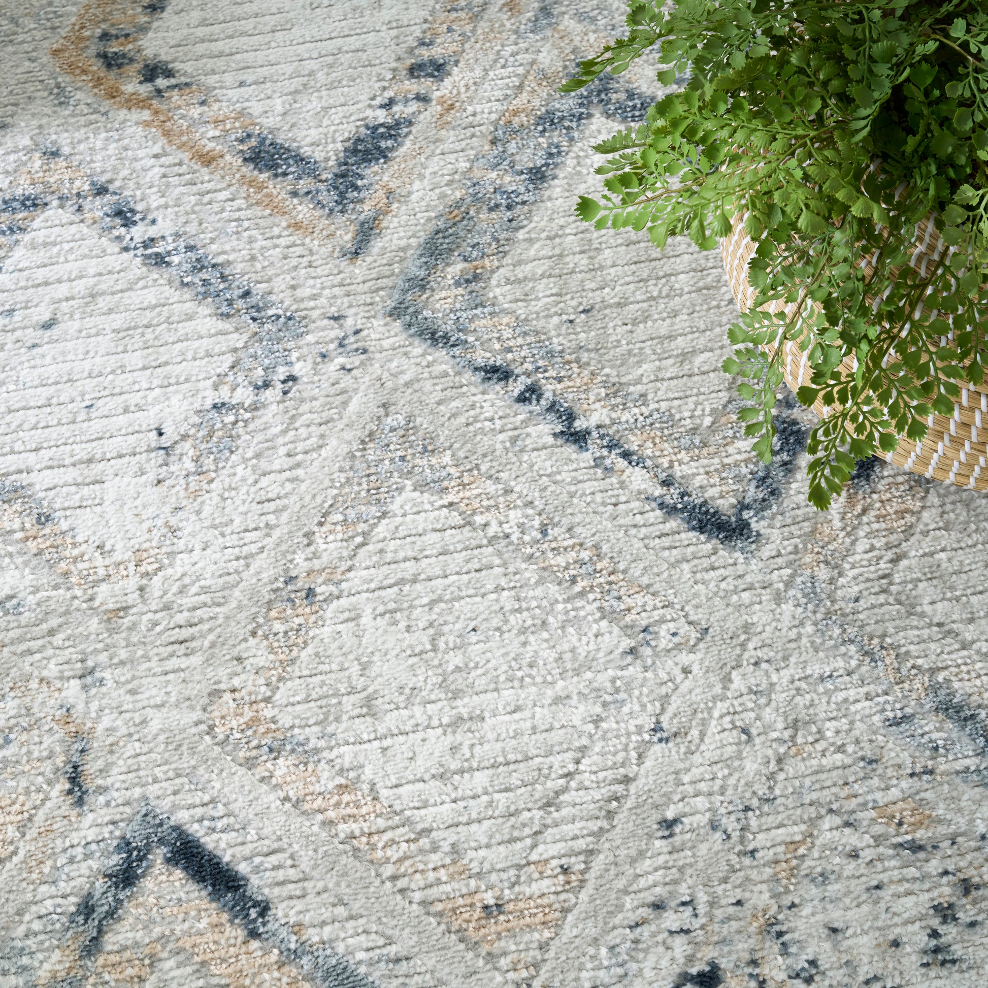 Gray geometric area rug with blue and tan accents; green potted plant in a woven basket.