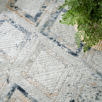 Gray geometric area rug with blue and tan accents; green potted plant in a woven basket.