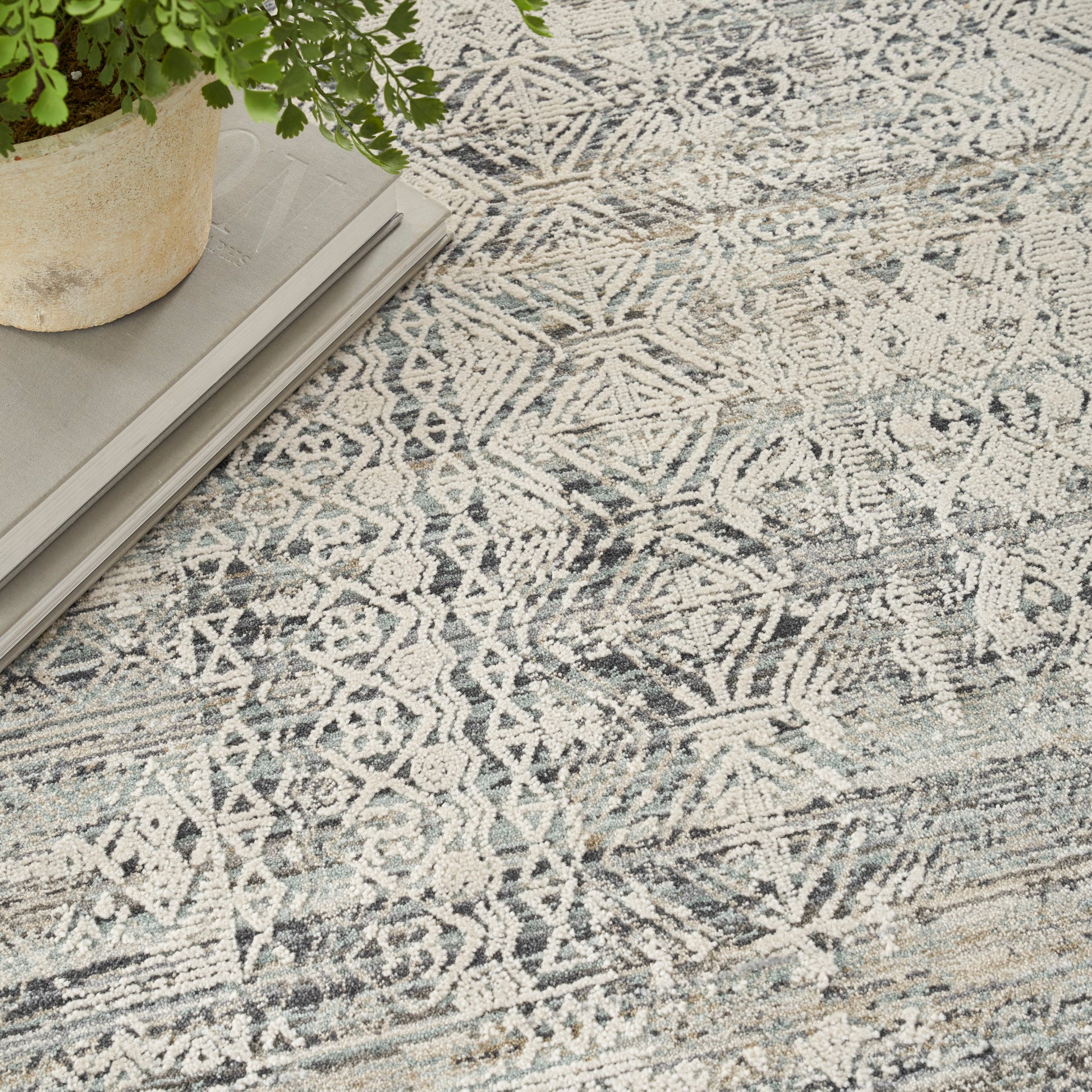 Gray and ivory distressed geometric area rug with a potted plant and stacked gray magazines resting on it