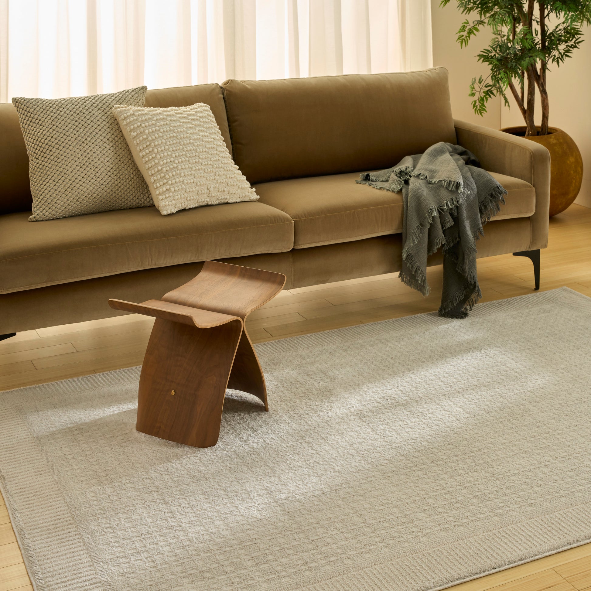 Light beige rug (4' x 6') in a warm living room setting, with a taupe sofa, gray throw, wooden curved stool and a potted plant.