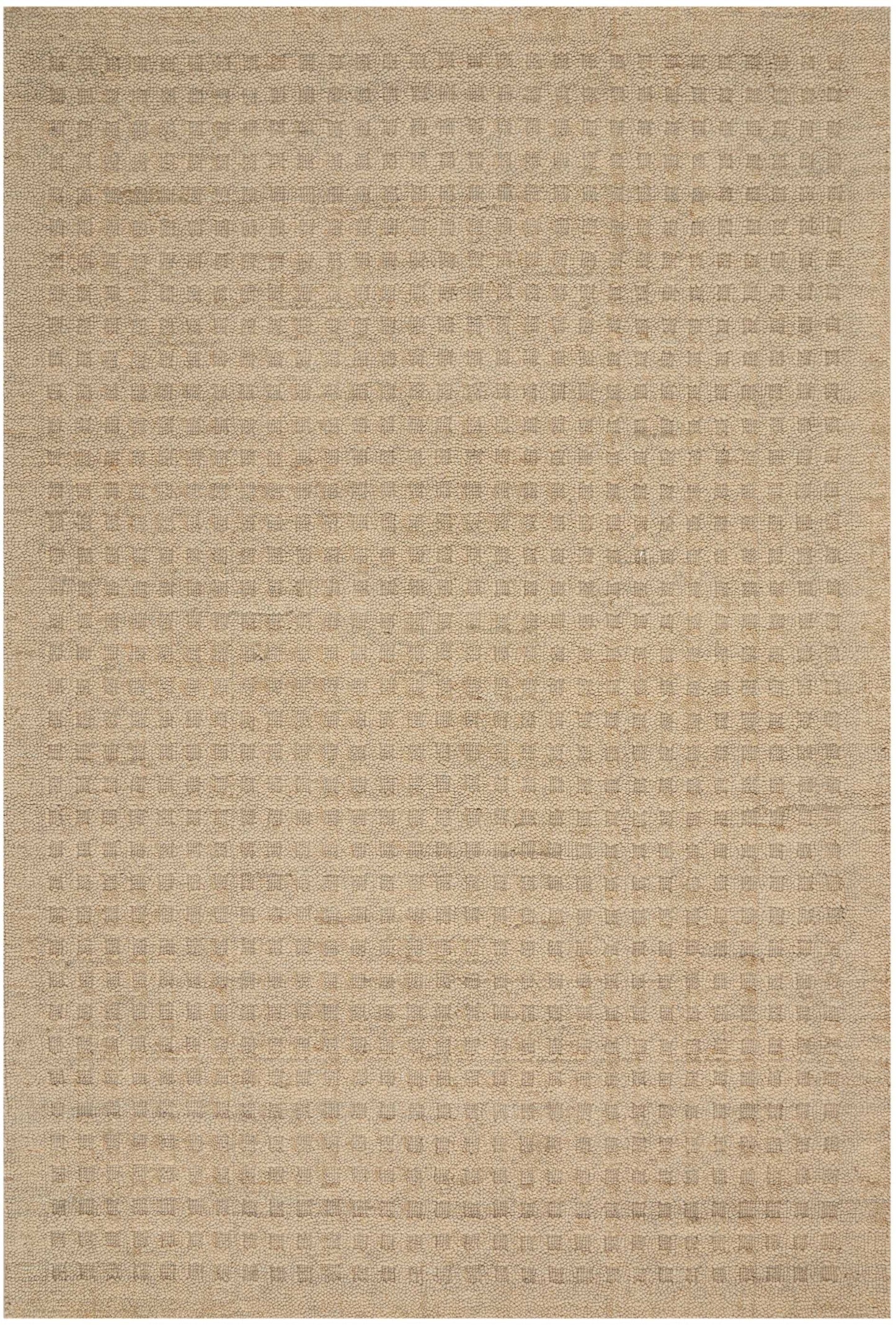 Beige woven flat-weave rug with subtle square grid texture; neutral rectangular area rug for living spaces.
