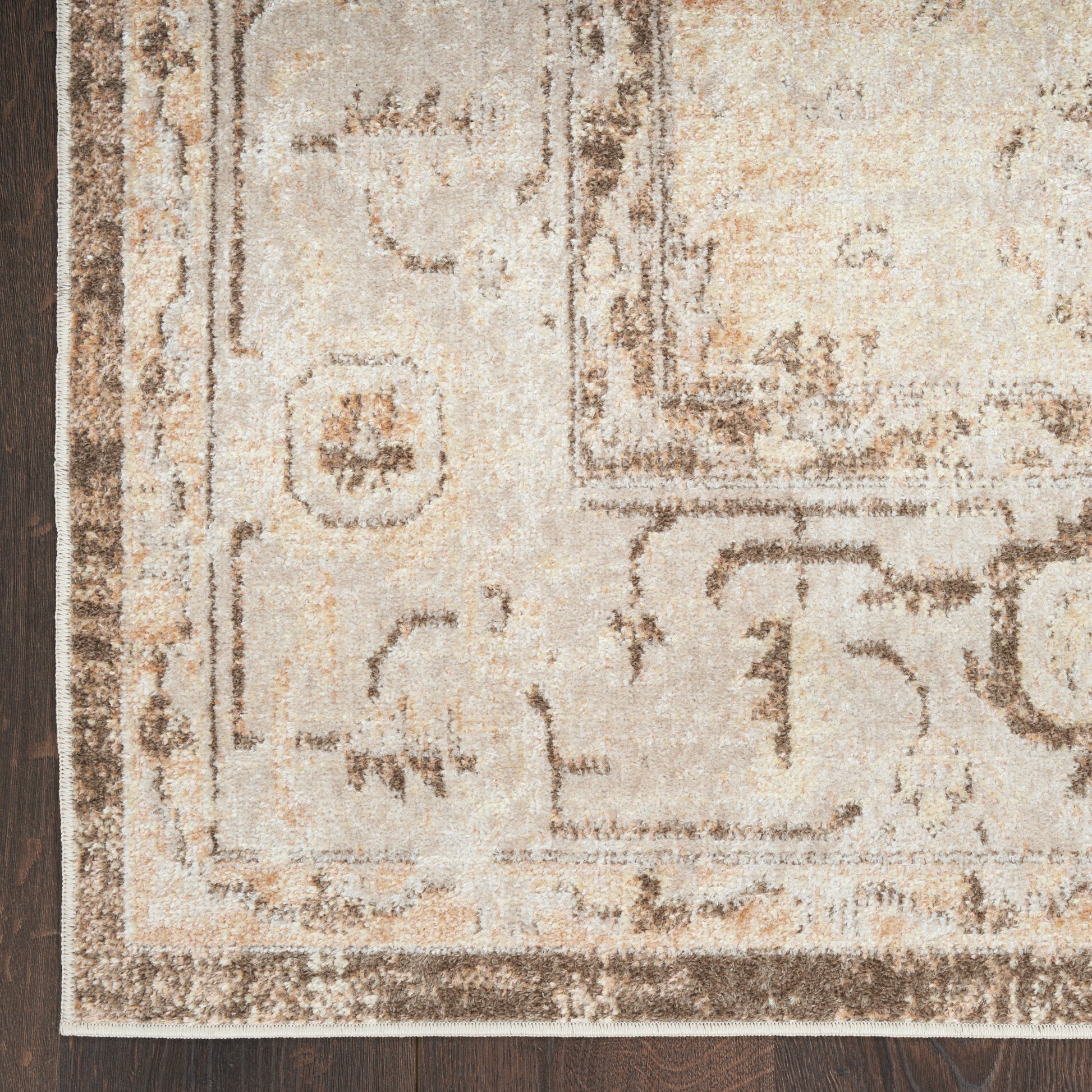 Beige and taupe oriental rug with brown border and subtle floral scroll pattern on dark wood floor.