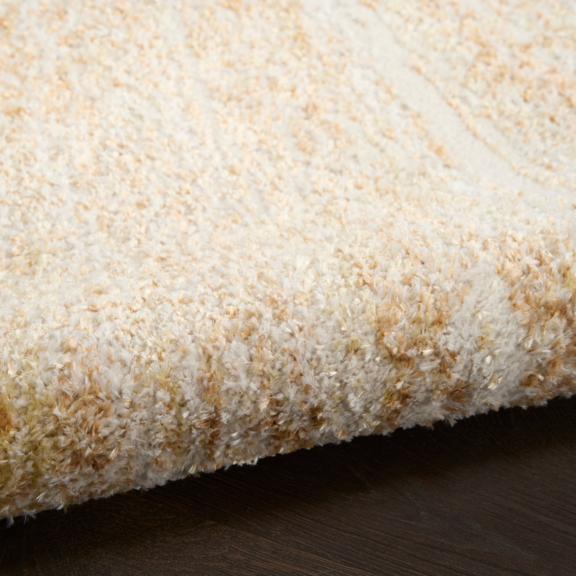Cream beige shag rug with plush pile on dark wood floor, cozy textured rug.