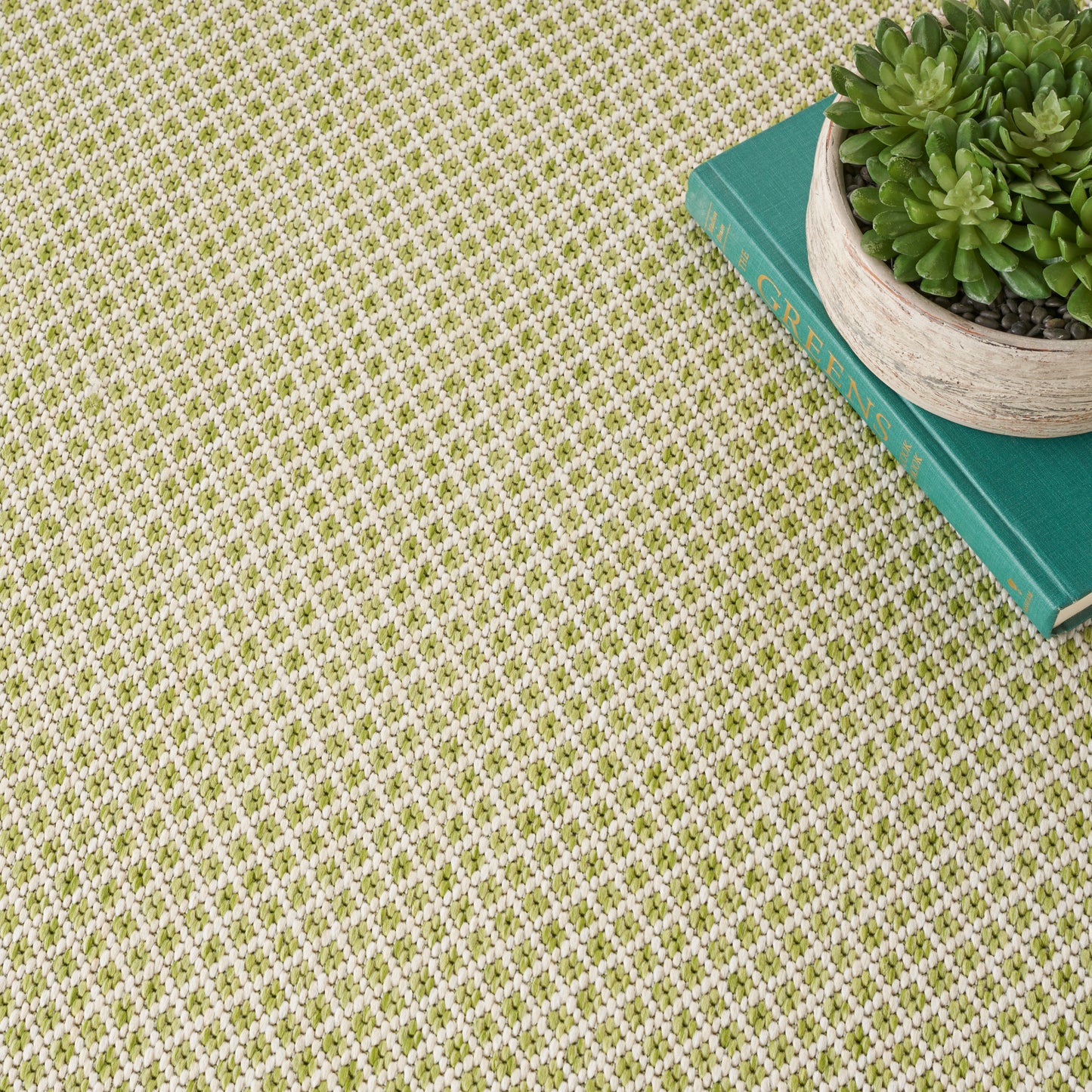 Olive-green and cream woven round rug with turquoise books and a round potted succulent on top.