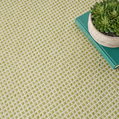 Olive-green and cream woven round rug with turquoise books and a round potted succulent on top.