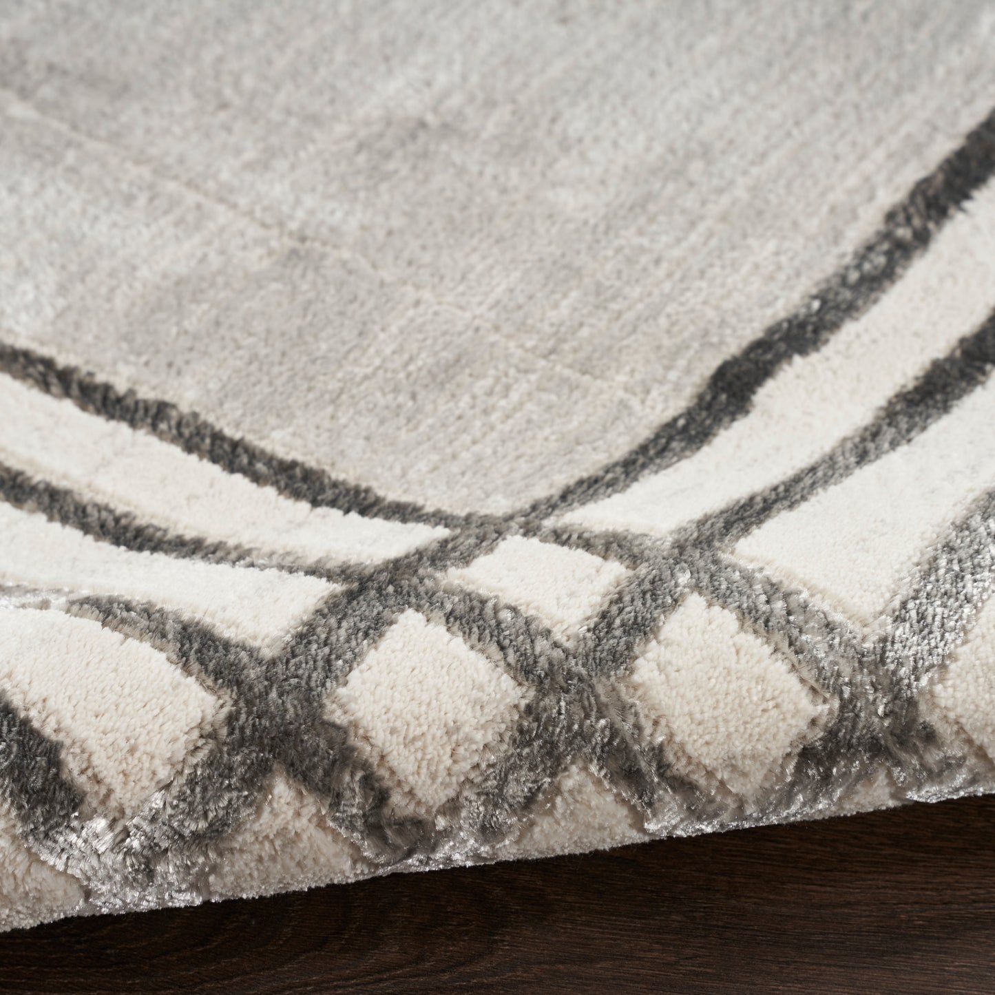 Plush beige-gray area rug with dark gray geometric border lines on a dark wood floor.