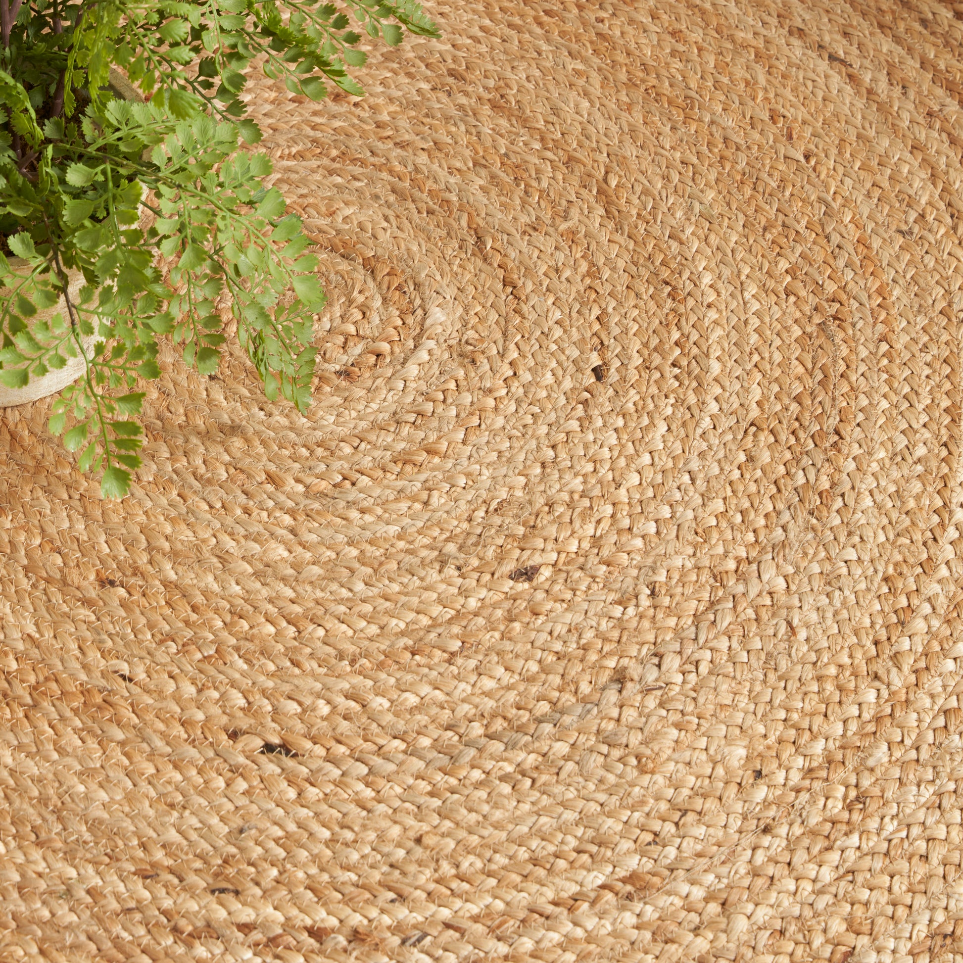 Round natural jute rug with spiral weave in beige; textured surface, potted green fern in top-left.