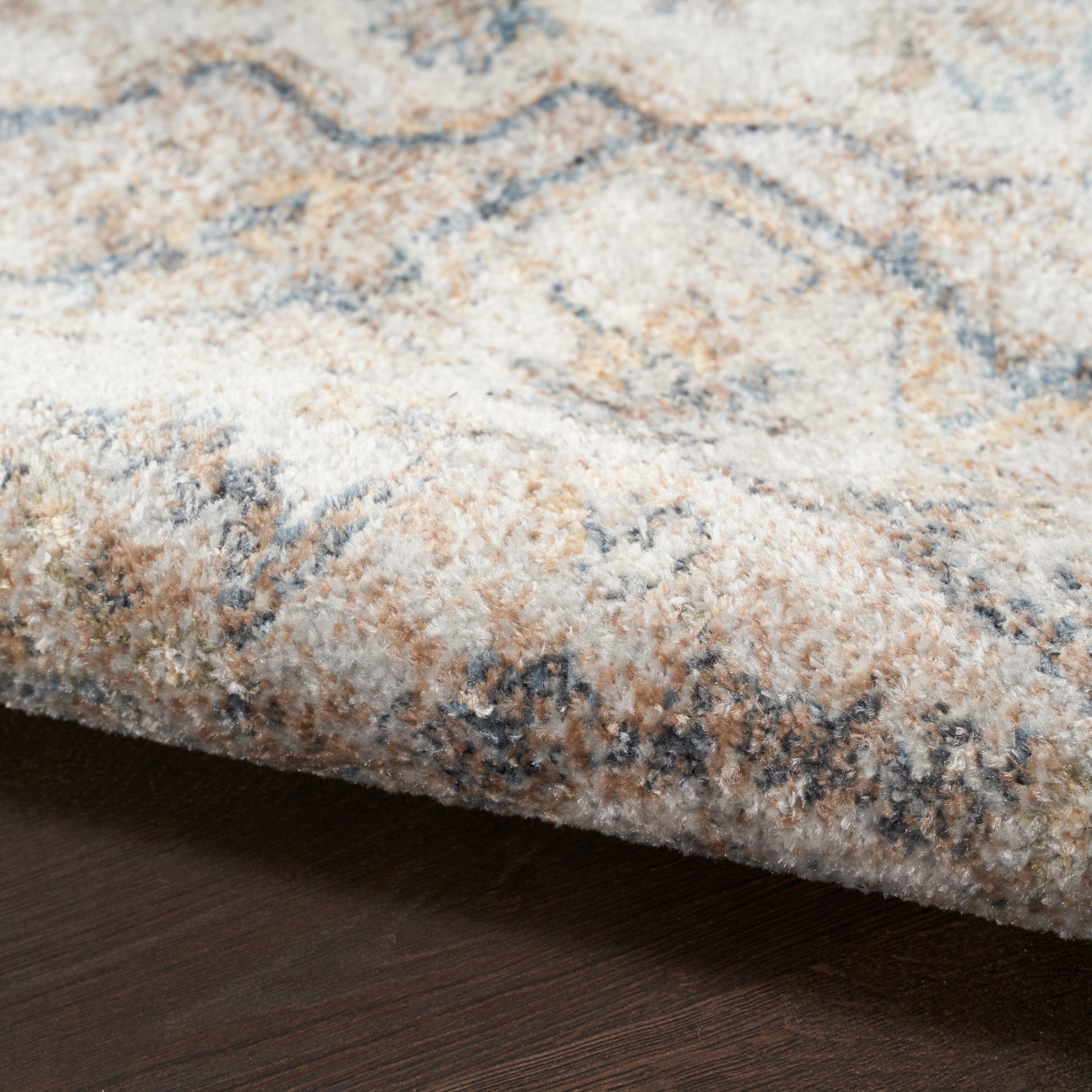 Close-up of a plush, patterned area rug with ivory, tan and blue tones on dark wood floor.
