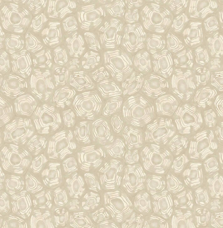 3 Rolls of Cole & Son Wallpaper 119/4021 Savanna Shell